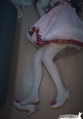 拜托小姐第二季免费观看_蓝光高清完整版播放