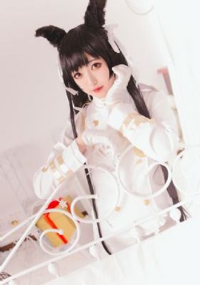 免费看电视剧_2022在线观看